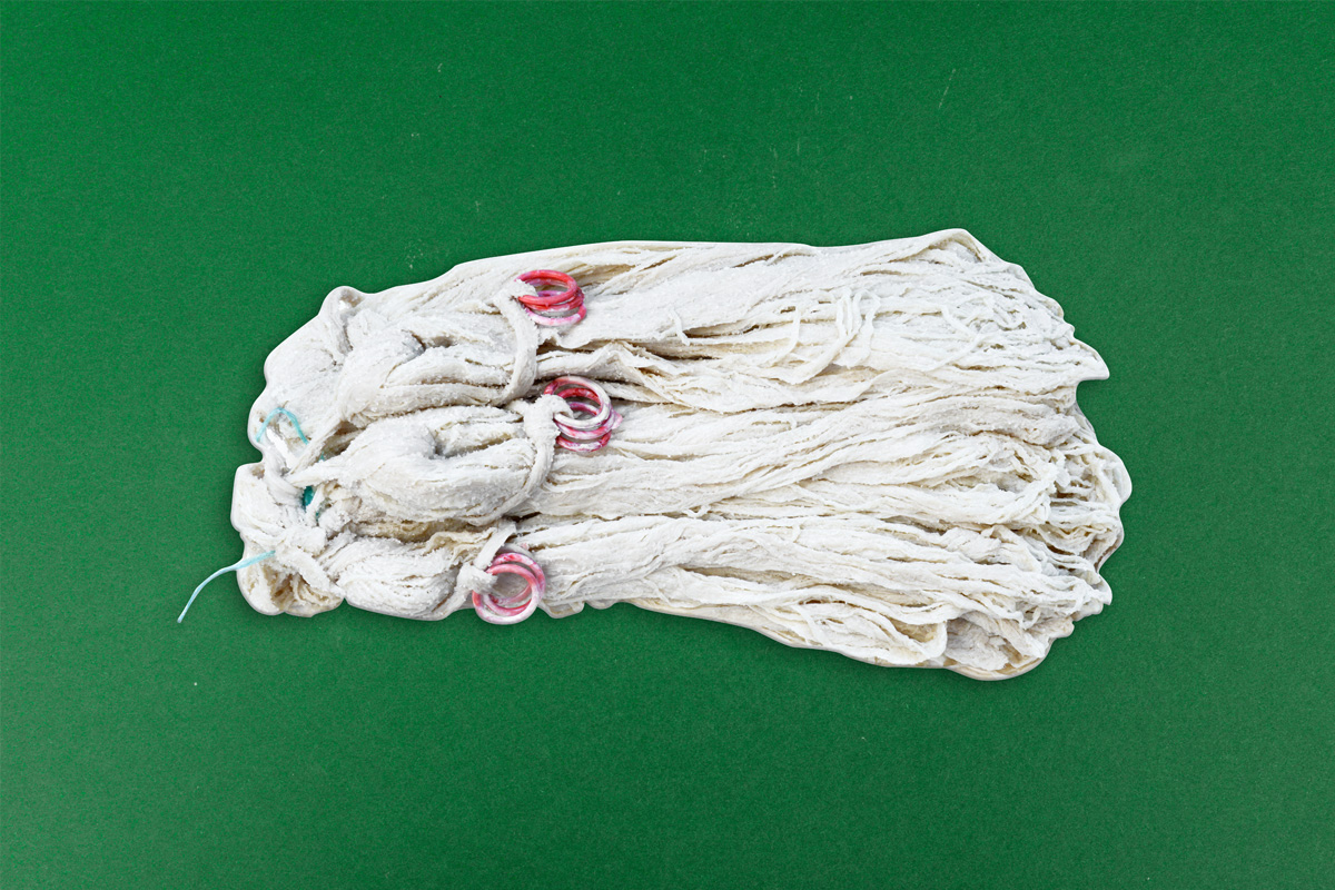 Saitlinge Lipco Naturdärme